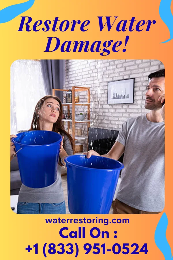water restoration Western Damage Restoration Network Nordic