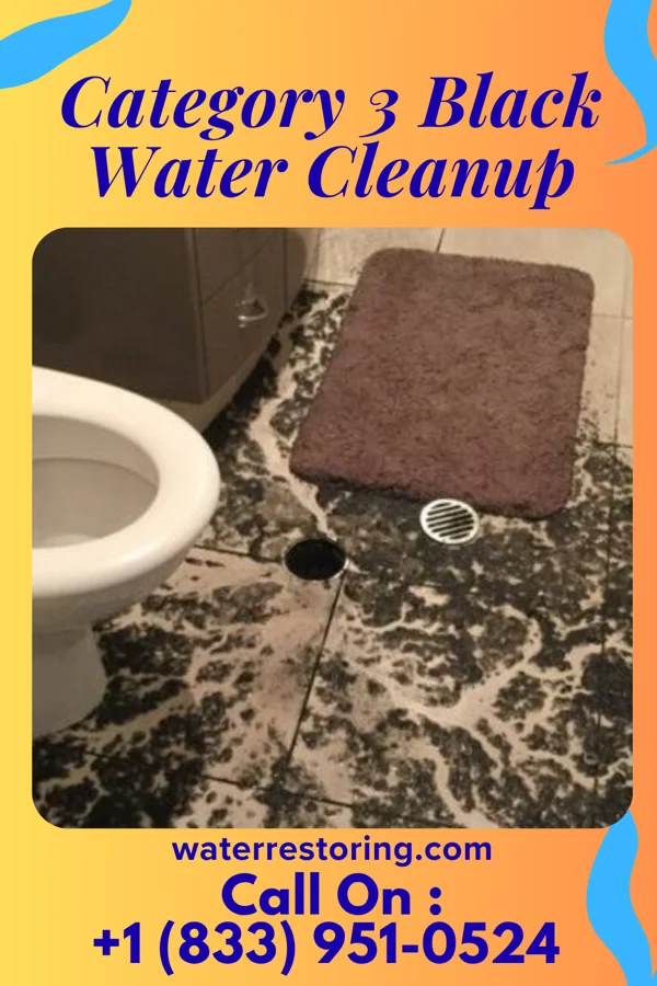 Category 3 Black Water Cleanup in Nordic, WY