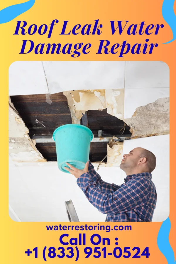 Roof Leak Water Damage Repair in Nordic, WY